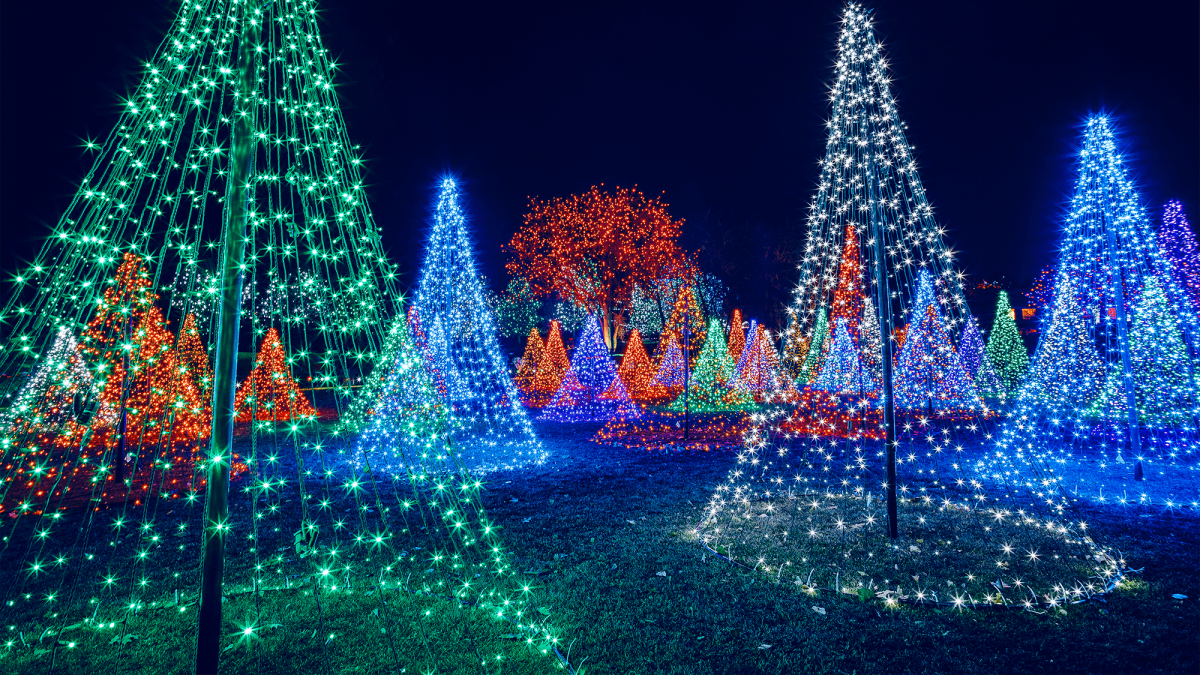 Chrismas Lights Contest